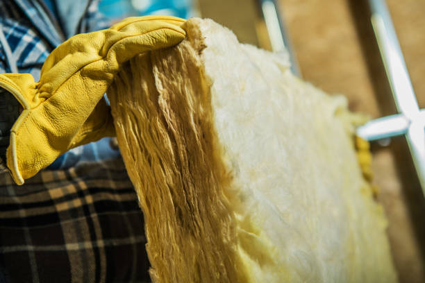 Best Residential Insulation in Audubon Park, KY