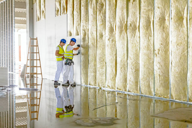 Best Insulation Maintenance and Repair in Audubon Park, KY